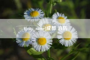 深圳成都 消防