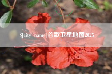 深圳谷歌卫星地图2025