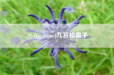 深圳九宫格盘子