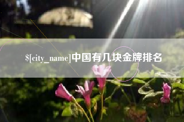 深圳中国有几块金牌排名
