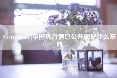 深圳中国执行信息公开网是什么东西