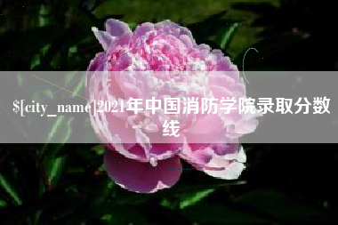深圳2021年中国消防学院录取分数线
