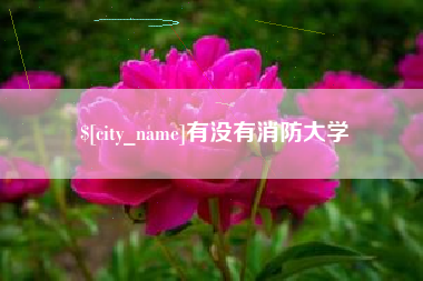 深圳有没有消防大学