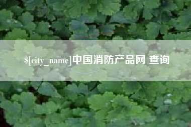 深圳中国消防产品网 查询