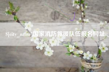 深圳国家消防救援队伍报名网址