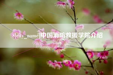深圳中国消防救援学院介绍