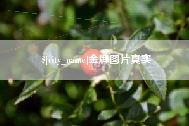 深圳金牌图片真实