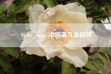 深圳中国第九金回放