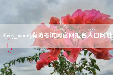 深圳消防考试网官网报名入口网址