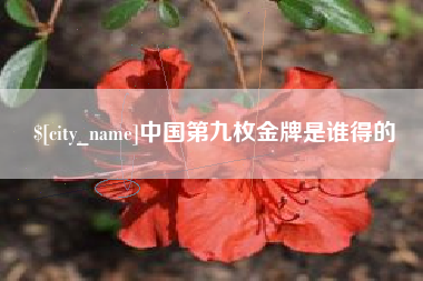 深圳中国第九枚金牌是谁得的