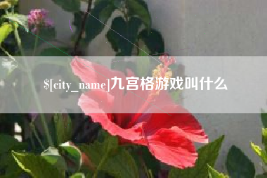 深圳九宫格游戏叫什么