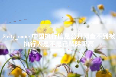 深圳中国执行信息公开网查不到被执行人是不是已解除限高