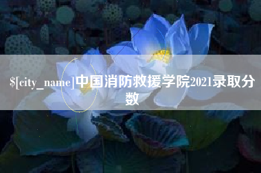 深圳中国消防救援学院2021录取分数