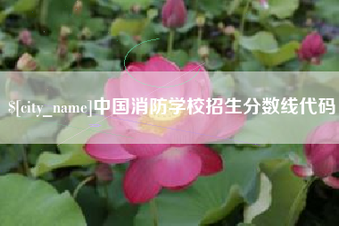 深圳中国消防学校招生分数线代码