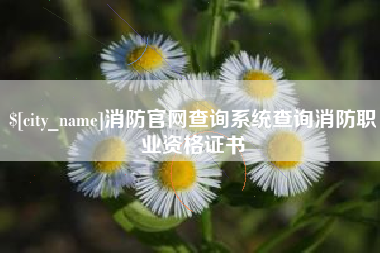 深圳消防官网查询系统查询消防职业资格证书