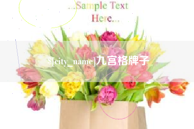 深圳九宫格牌子