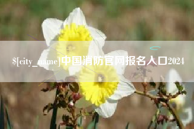 深圳中国消防官网报名入口2024
