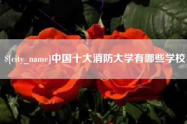 深圳中国十大消防大学有哪些学校