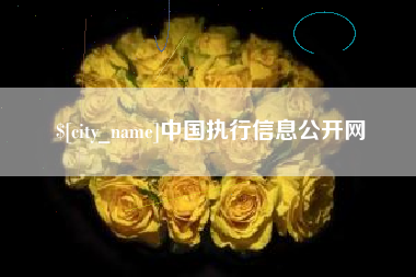 深圳中国执行信息公开网