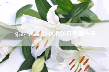 深圳森林消防日是哪一天