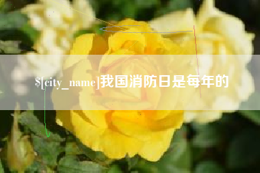 深圳我国消防日是每年的