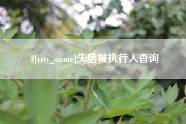 深圳失信被执行人杳询