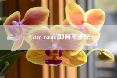 深圳邱县王子磊