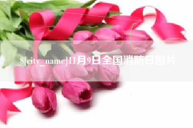 深圳11月9日全国消防日图片