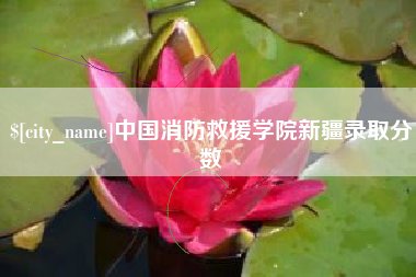 深圳中国消防救援学院新疆录取分数