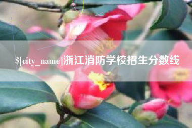 深圳浙江消防学校招生分数线