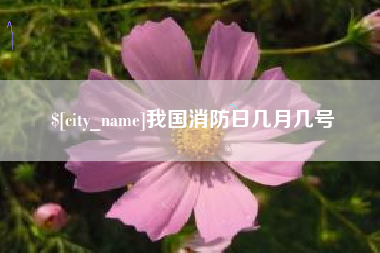 深圳我国消防日几月几号