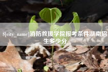 深圳消防救援学院报考条件湖南招生多少分