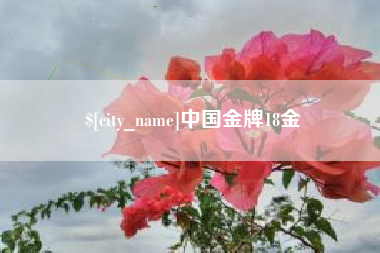 深圳中国金牌18金