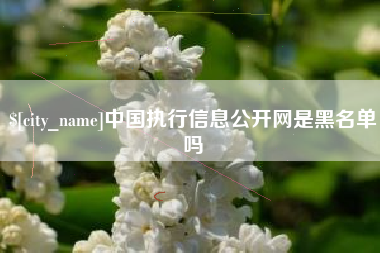 深圳中国执行信息公开网是黑名单吗