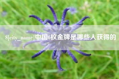 深圳中国6枚金牌是哪些人获得的