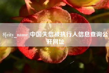 深圳中国失信被执行人信息查询公开网址