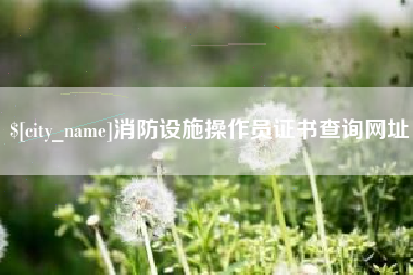 深圳消防设施操作员证书查询网址