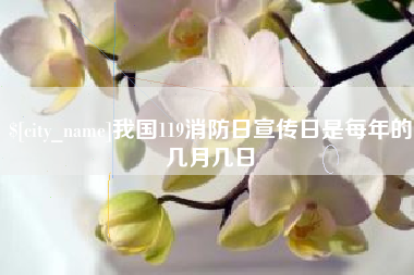 深圳我国119消防日宣传日是每年的几月几日