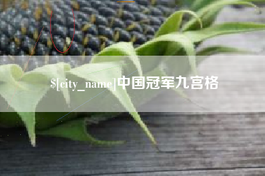 深圳中国冠军九宫格