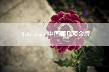 深圳中国哪几项金牌
