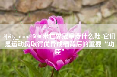 深圳5000米世界冠军穿什么鞋-它们是运动员取得优异成绩背后的重要“功臣”