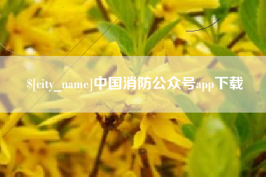 深圳中国消防公众号app下载