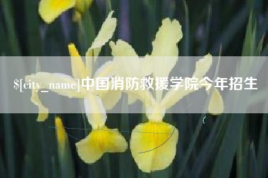 深圳中国消防救援学院今年招生
