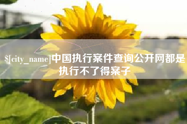 深圳中国执行案件查询公开网都是执行不了得案子