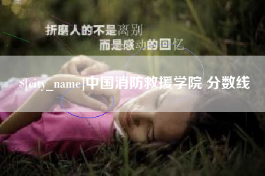 深圳中国消防救援学院 分数线