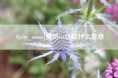 深圳消防ccc认证什么意思