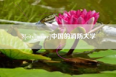 深圳中国的消防大学
