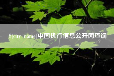 深圳中国执行信息公开网查询