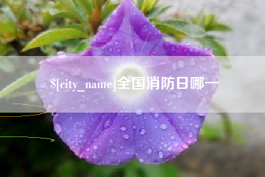 深圳全国消防日哪一