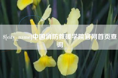 深圳中国消防救援学院官网首页查询